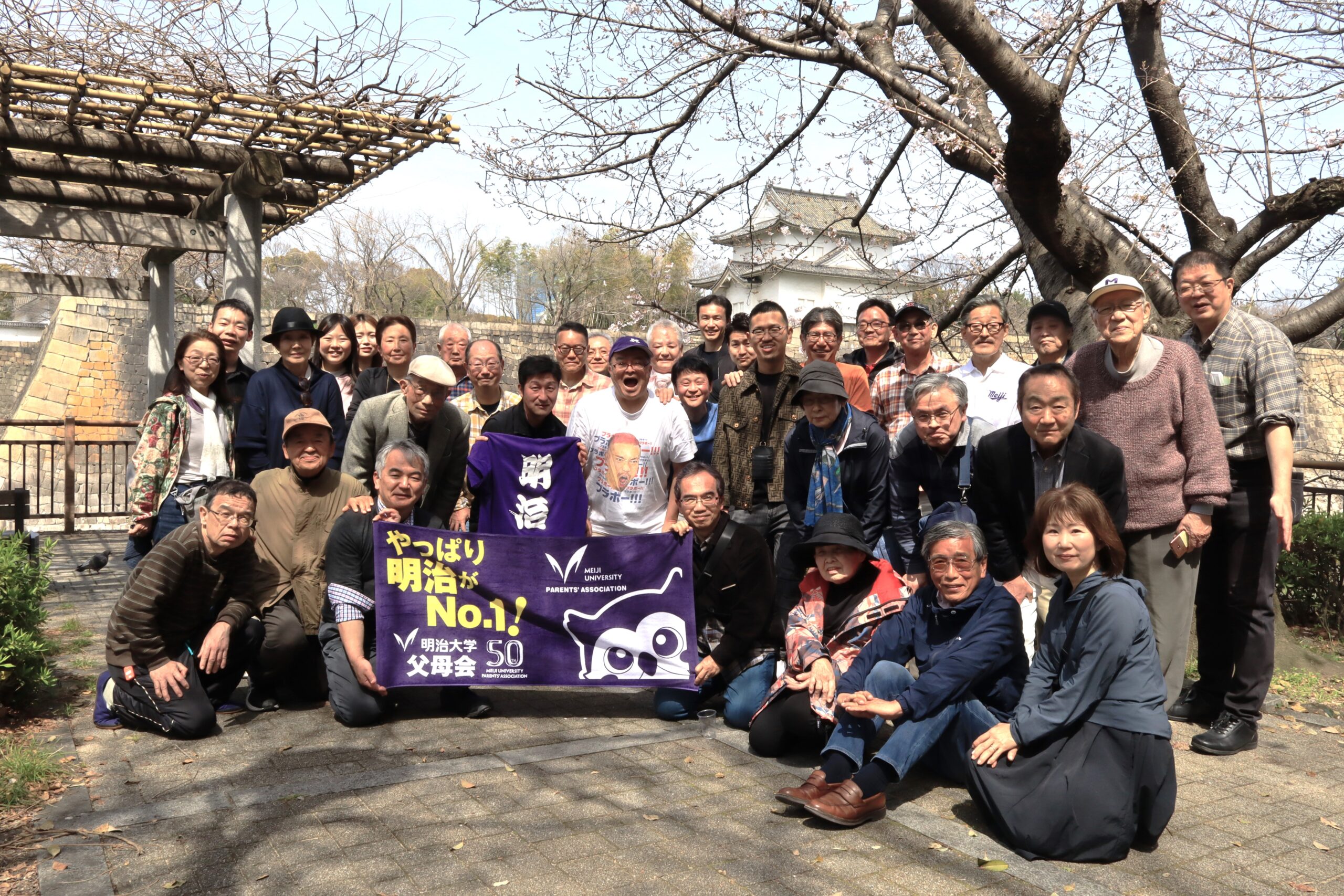 花見 大学 明治大学校友会 大阪府支部 2024年 お花見会のご報告 | 明治大学校友会 大阪府支部